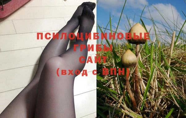 герыч Козловка