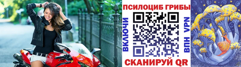 Купить где  Кимовск  Галлюциногенные грибы мухоморы 